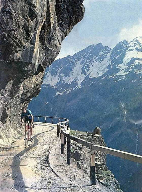 The Gavia